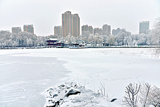 城市景观--公园图片,冬