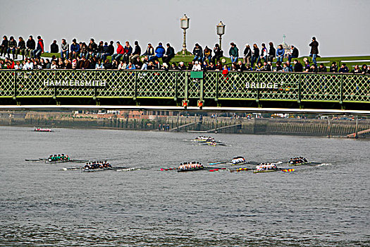 观众,栖息,桥,看,2008年,头部,河,比赛,泰晤士河,伦敦,英国