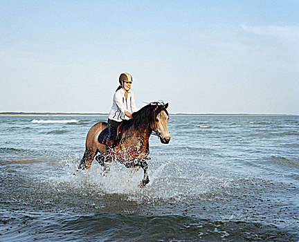骑马,海边