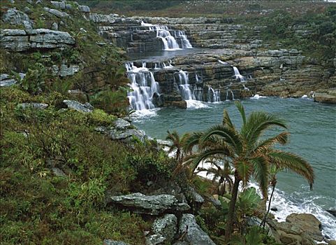 沿岸,瀑布,自然保护区,南非