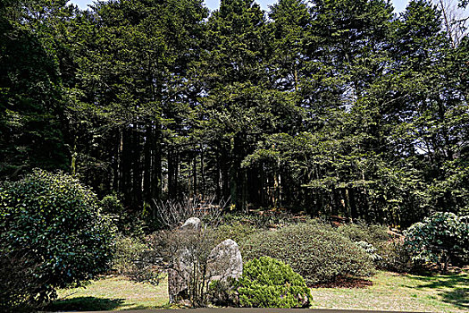 庐山植物园