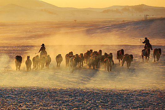 内蒙古坝上冬季清晨跑马习俗