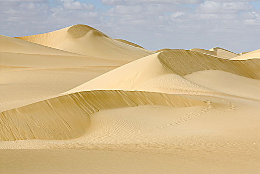沙子,沙丘,绿洲,巴哈利亚,西部沙漠,埃及,非洲