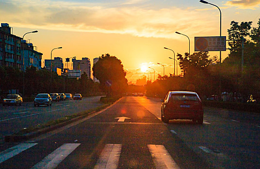 道路,公路,行人,地面