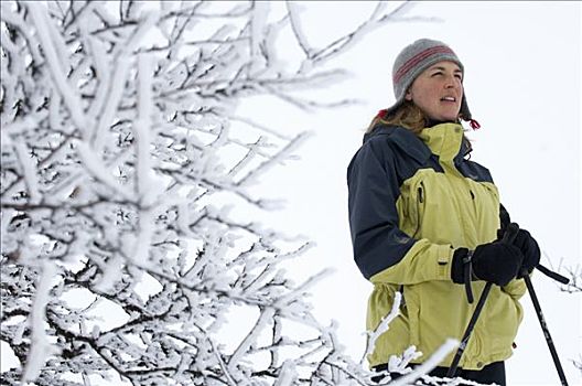 长途,滑雪者,雪中,遮盖,风景,瑞典