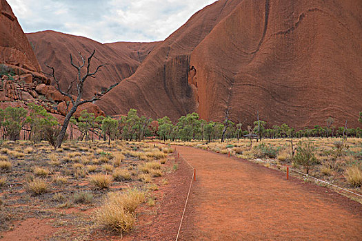 澳大利亚,乌卢鲁卡塔曲塔国家公园,乌卢鲁巨石,石头,小路,大幅,尺寸