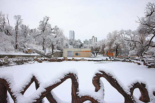 延吉市人民公园雪景