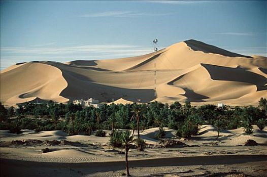 阿尔及利亚,撒哈拉沙漠,绿洲