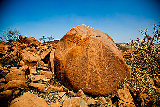 土著,蚀刻,石头,西澳大利亚州,澳大利亚