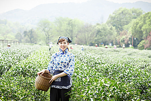 亚洲人,漂亮,女孩,种植园