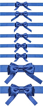 蓝色,蝴蝶结,绸缎,带,隔绝