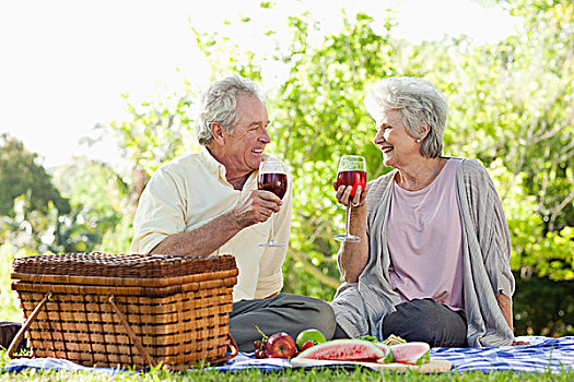 伴侣,拿着,葡萄酒杯,对视,野餐