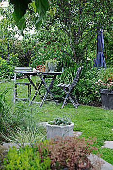 风化,木桌子,椅子,梨树,夏天,花园