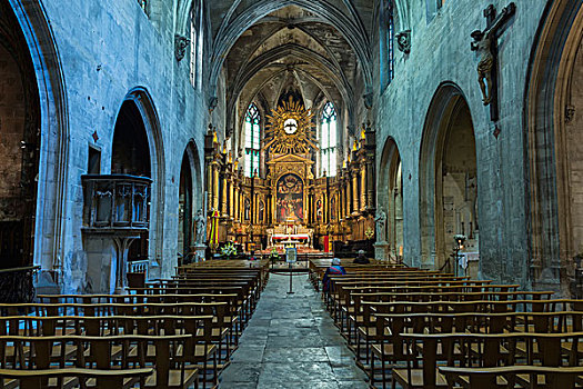 大教堂,室内,阿维尼翁,沃克吕兹省,法国,欧洲