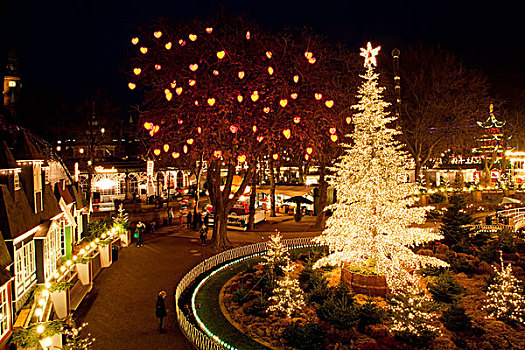 圣诞节,树,哥本哈根,丹麦,欧洲
