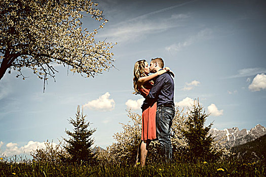 爱人,吻,靠近,开花树木,春天,提洛尔,奥地利,欧洲