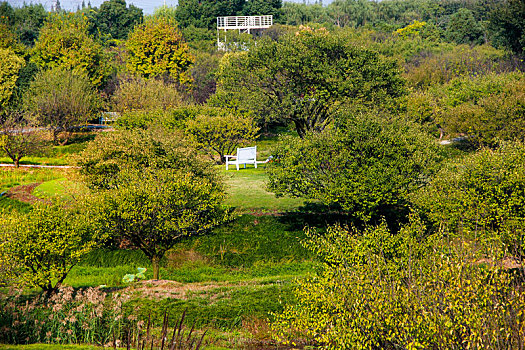 城市绿地,湿地公园