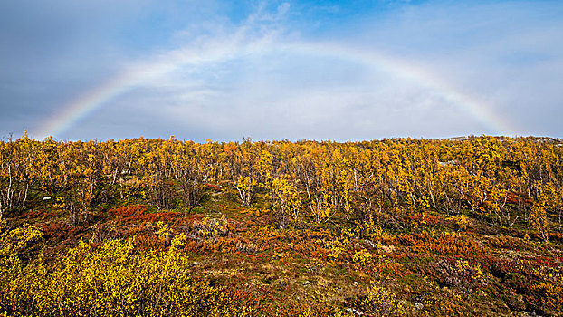 秋景,彩虹,拉普兰,瑞典,欧洲