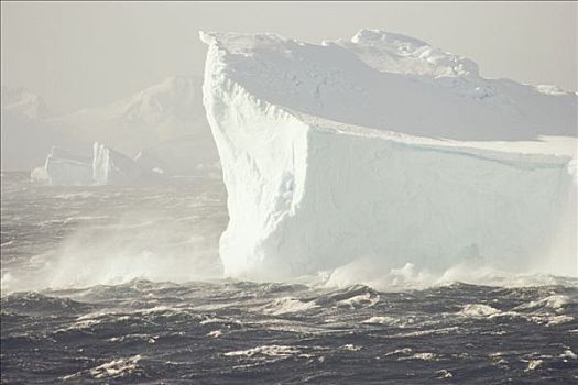 冰山,海峡,北方,尖,半岛,南极