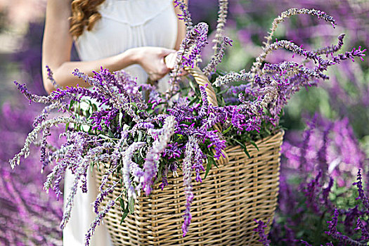 局部,美女,花园,篮子,紫花