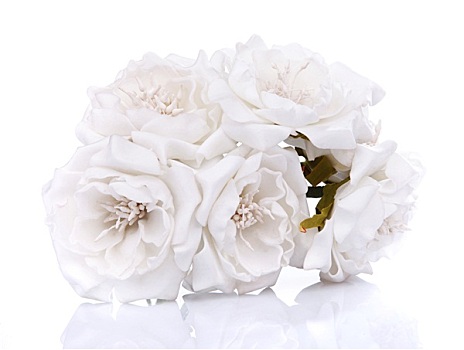 花束,白色,玫瑰,白色背景