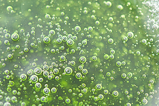 泡泡,绿色,物质,全画幅