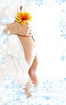 孕妇,拿着,腹部,黄花,水中