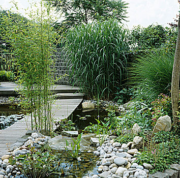 花园,水塘,步行桥