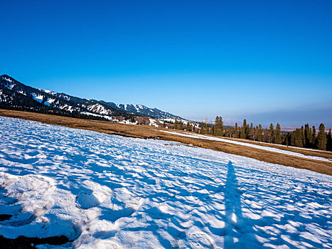 新疆冬季草原