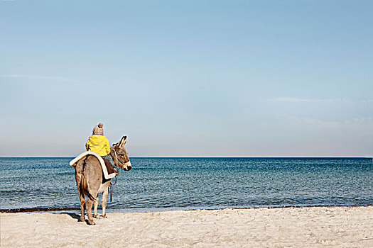 驴,骑,海滩