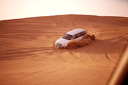迪拜,荒芜,开车