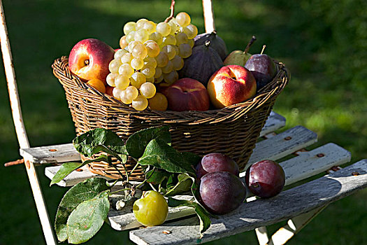 季节,静物,种类,秋天,水果,柳条篮,白色,花园椅