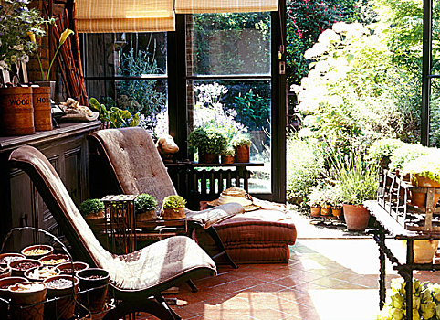 温室,花园,房间,滑动门,软垫,椅子,花盆