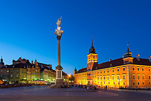 城堡广场,皇家,柱子,城堡,夜晚,历史,中心,华沙,省,波兰,欧洲