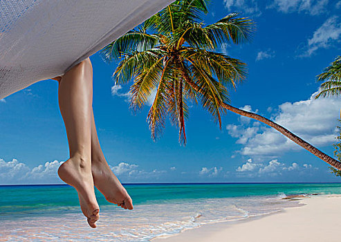 腿,美女,吊床,迈阿密海滩,佛罗里达,美国
