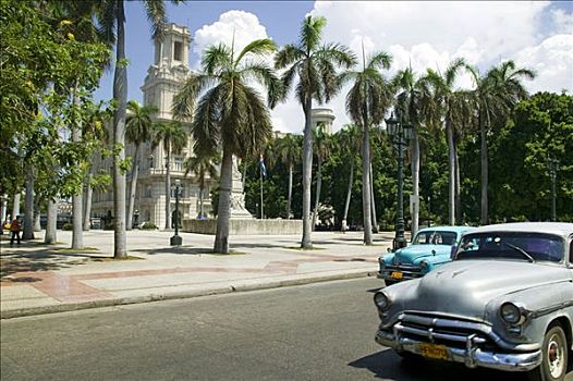 老爷车,正面,棕榈树,哈瓦那,古巴,中美洲,加勒比海