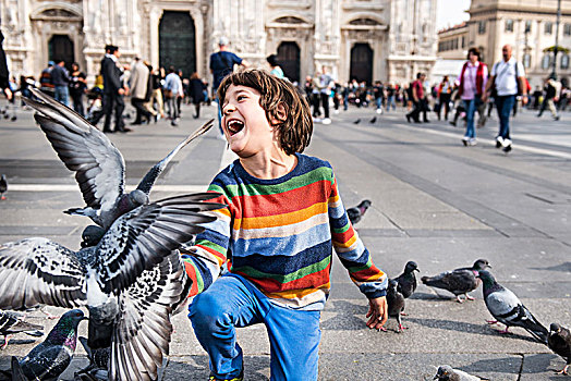 男孩,笑,喂食,鸽子,广场,米兰,伦巴第,意大利