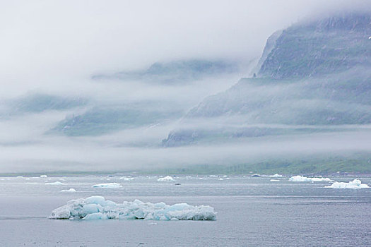 美国,阿拉斯加,冰河湾国家公园,风景,山,水,画廊