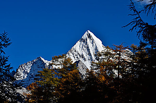 夏诺多吉雪山