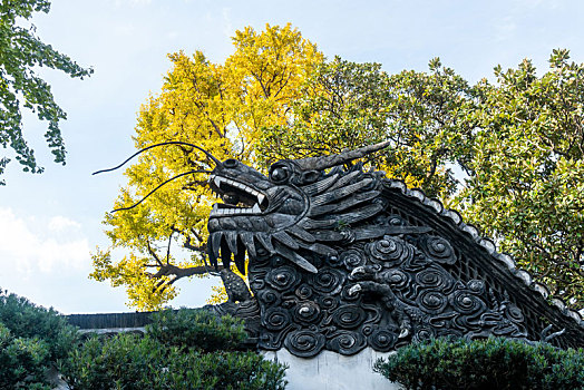 豫园龙形雕饰与银杏
