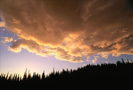 云,山,国家公园,不列颠哥伦比亚省,加拿大