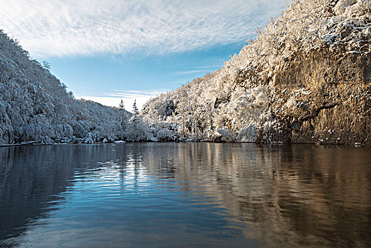 湖,树林,十六湖国家公园,冬天,克罗地亚