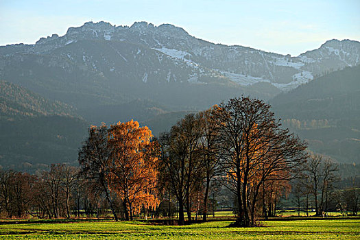 秋天,风景,坎彭完特山,齐姆高,上巴伐利亚,德国,欧洲