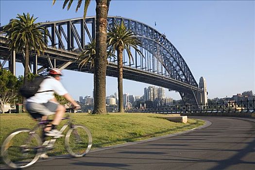 澳大利亚,新南威尔士,悉尼,早晨,骑车,自然保护区,脚,海港大桥,小湾