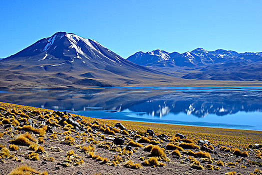 泻湖,高原,靠近,佩特罗,阿塔卡马沙漠,区域,安托法加斯塔,智利,南美