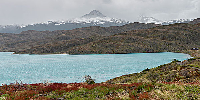 湖,山脉,背景,裴赫湖,托雷德裴恩国家公园,巴塔哥尼亚,智利