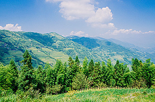 山岭风光