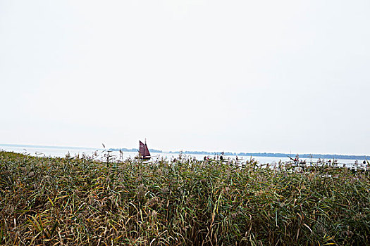 帆船,靠近,达斯,波罗的海