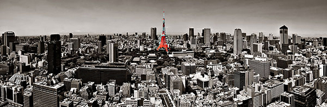 东京塔,城市,天际线,屋顶,风景,日本