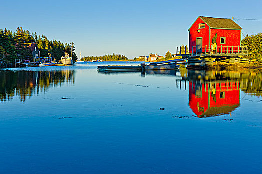 反射,船,小屋,水中,东方,新斯科舍省,加拿大